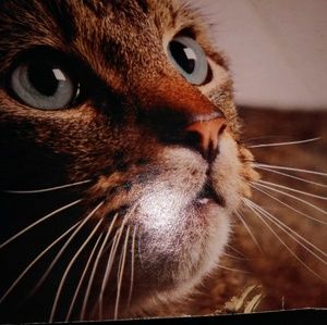 Meet your Posher, Patrick